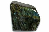 Flashy Free-Standing Polished Labradorite - Madagascar #372810-2